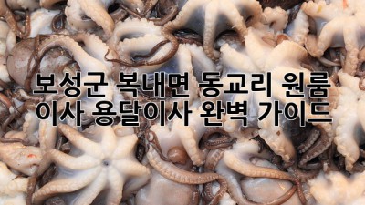 보성군 복내면 동교리 원룸 이사, 용달이사 완벽 가이드!