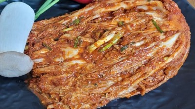 놓치면 후회! 김치남이네 솔직 후기 & 꿀팁 대방출🍯