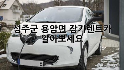 성주군 용암면 장기렌트카, 알아보세요!