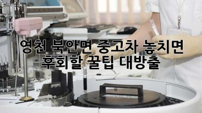 영천 북안면 중고차, 놓치면 후회할 꿀팁 대방출! 🚗💨